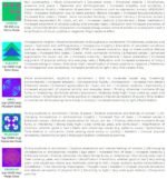 Shafaa Macrodosing Magic Mushroom Gummies – Buy Psychedelic Edibles Online - Image 8