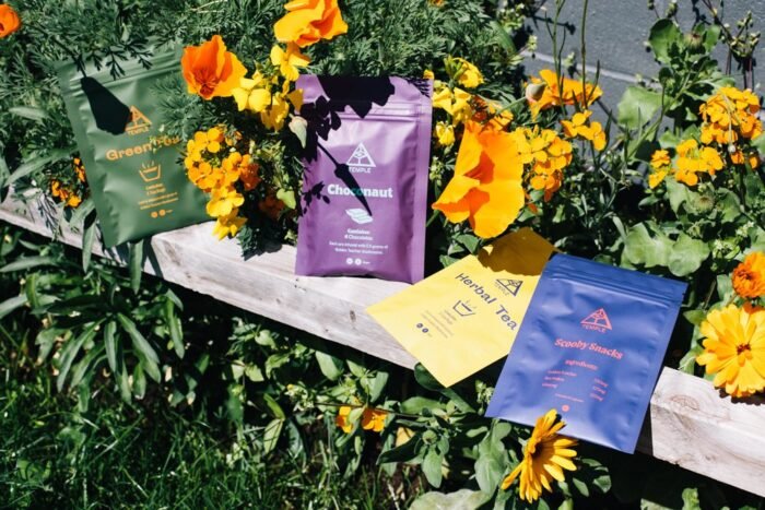 Temple Teleport Sample Pack: Magic Mushroom Tea & Chocolate Mix - Image 2