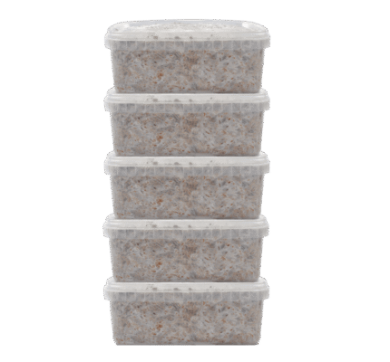Magic Mushroom Grow Kits 5 package deal by FreshMushrooms®