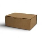 Magic Mushroom Grow Kit B by Mondo Online - Image 2