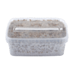 Our Special Offer on Three Magic Mushroom Grow Kits - Image 2